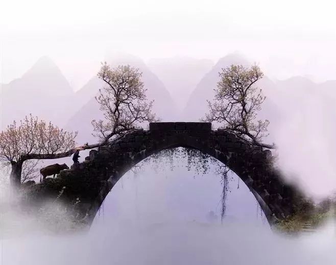 陈铠老师诗歌《九月九》金牌主播高山流水诵读,编辑宋梅【中国长江文学社】有声文学平台第2579期(图7)