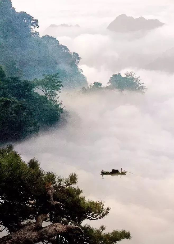 陈铠老师诗歌《九月九》金牌主播高山流水诵读,编辑宋梅【中国长江文学社】有声文学平台第2579期(图9)