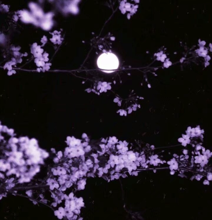 月有阴晴圆缺 文/神剑〔江苏〕【冰心文化传媒】（图7）