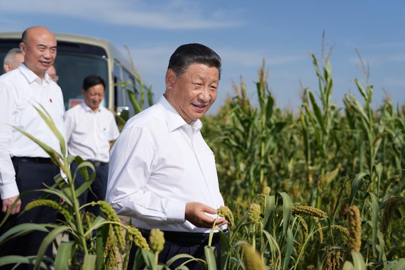 《纪实散文》我与“大夫作家”薛云平老师的故事:文/郭丽侠(陕西韩城)(图2)