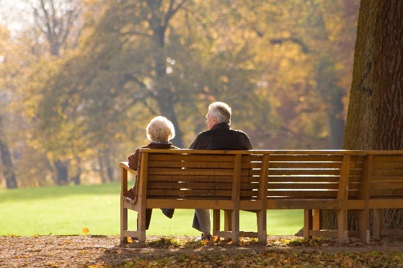 爱情不会老ll作者 碑林路人/演播 阳光 爱国(图8)