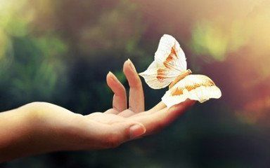 中英双语视频朗诵：（英国）玲子老师倾情演绎林徽因的作品：别丢掉｜翻译许渊冲｜海外头条（图3）