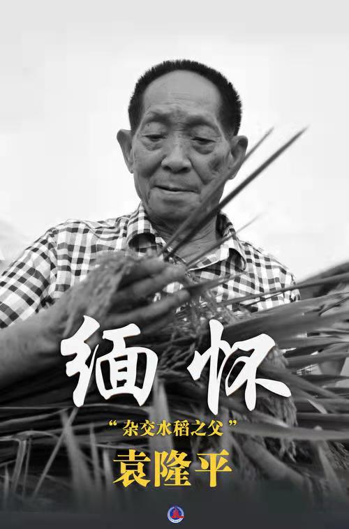 缅怀袁隆平院士（叙事抒情散文诗）作者丁培恭｜海外头条（图2）