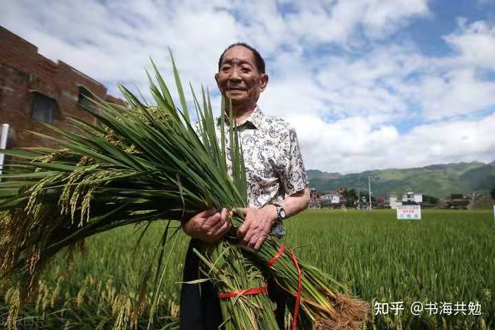 缅怀袁隆平院士（叙事抒情散文诗）作者丁培恭｜海外头条（图3）