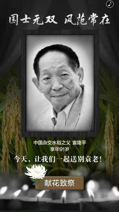 缅怀袁隆平院士（叙事抒情散文诗）作者丁培恭｜海外头条（图4）