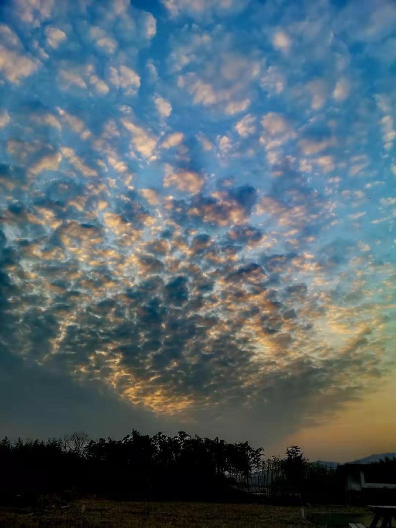 【黄昏漫行集句】文/磊怀(图7)