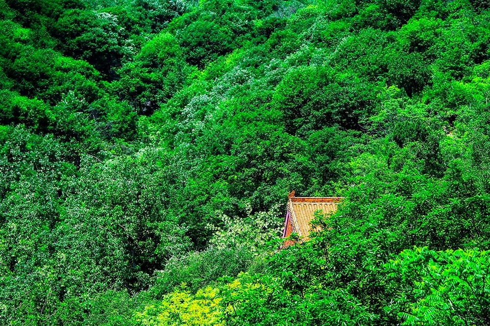每日一景·井陉美｜祖山（图10）