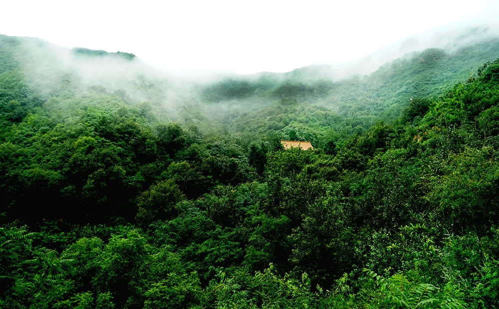 每日一景·井陉美｜祖山（图17）