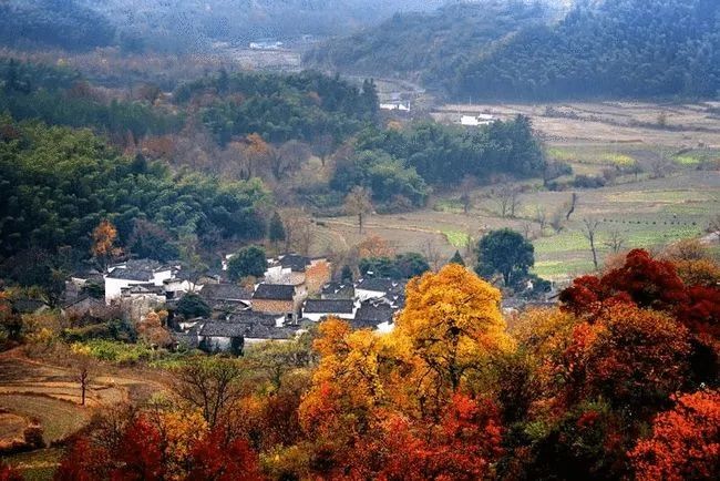 李启明老师诗歌外一首欣赏,主播高山流水诵读,编辑宋梅【中国长江文学社】有声文学平台第2585期(图7)