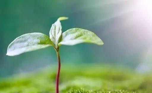 不忘初心方得始终 作者:王石白雨 京津沪头条文学平台发布(图6)