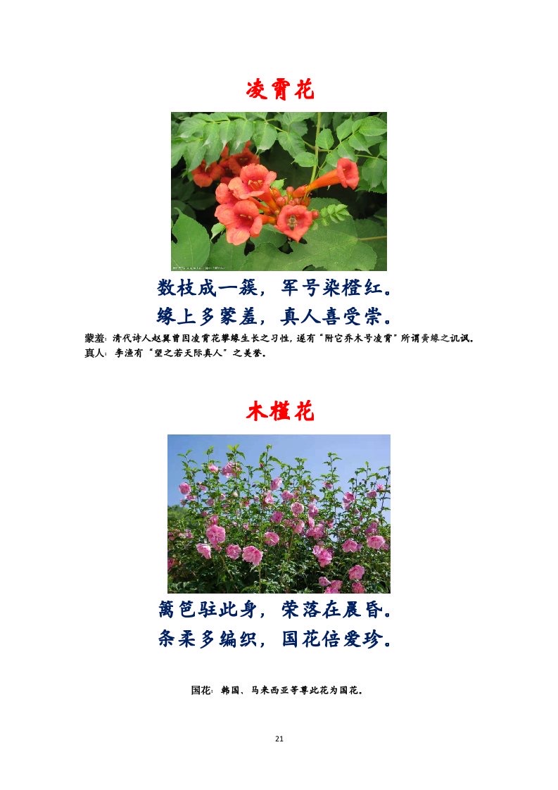 选萃推荐李金坤教授的作品：百花百诗总关情｜海外头条（图22）