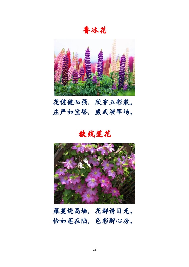 选萃推荐李金坤教授的作品：百花百诗总关情｜海外头条（图24）