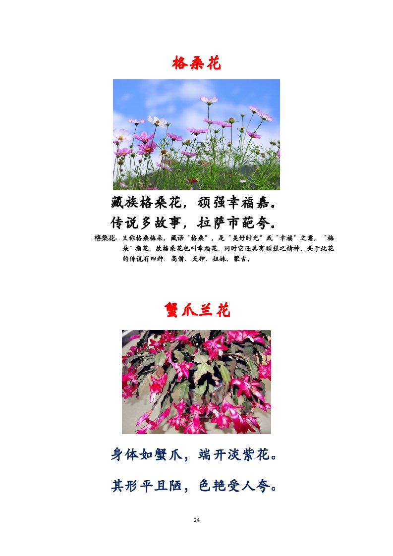 选萃推荐李金坤教授的作品：百花百诗总关情｜海外头条（图25）