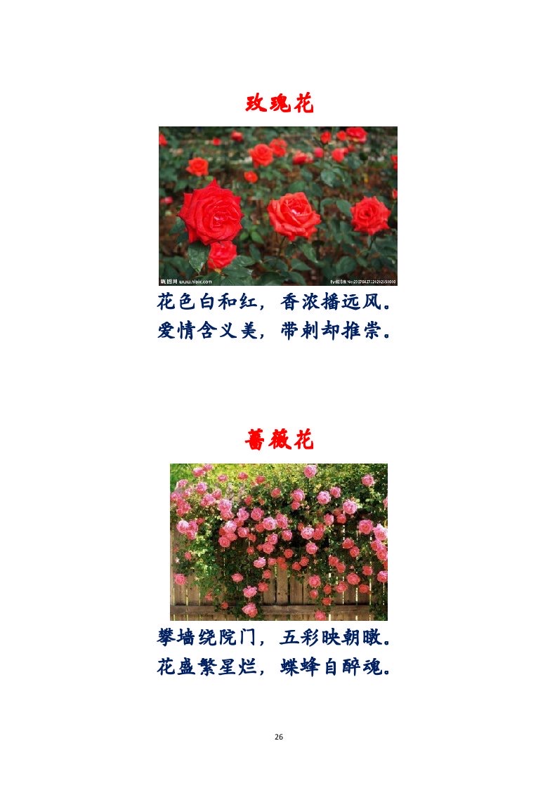 选萃推荐李金坤教授的作品：百花百诗总关情｜海外头条（图27）