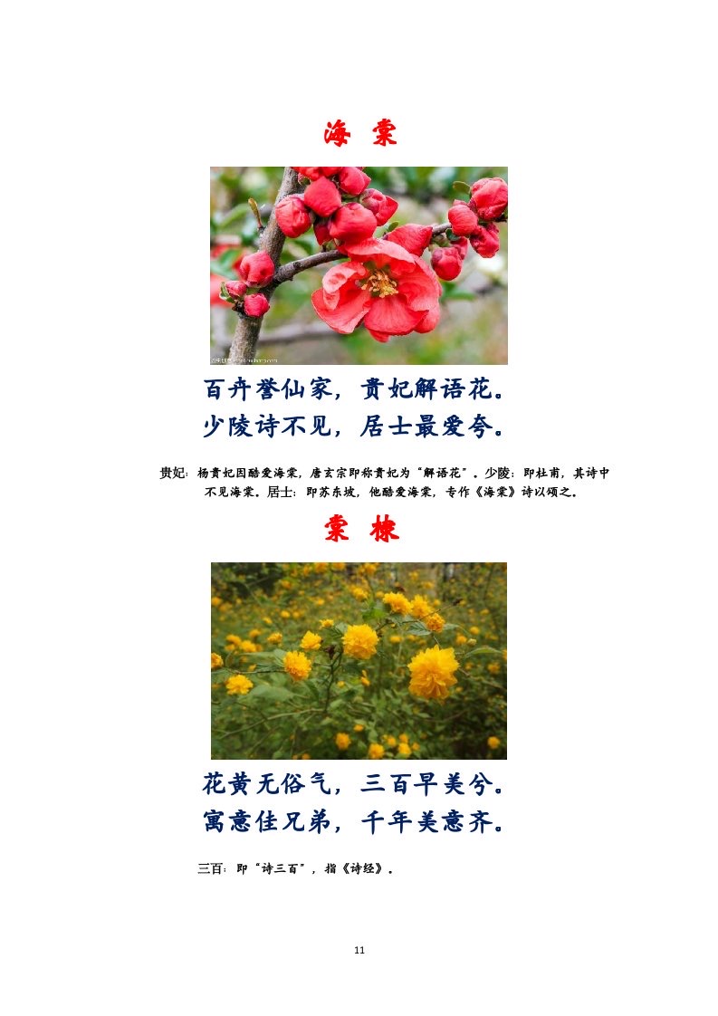 选萃推荐李金坤教授的作品：百花百诗总关情｜海外头条（图12）