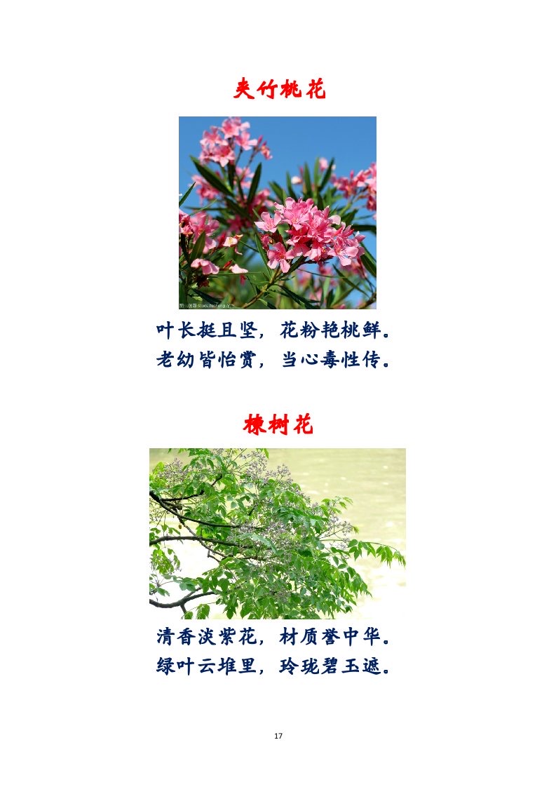 选萃推荐李金坤教授的作品：百花百诗总关情｜海外头条（图18）