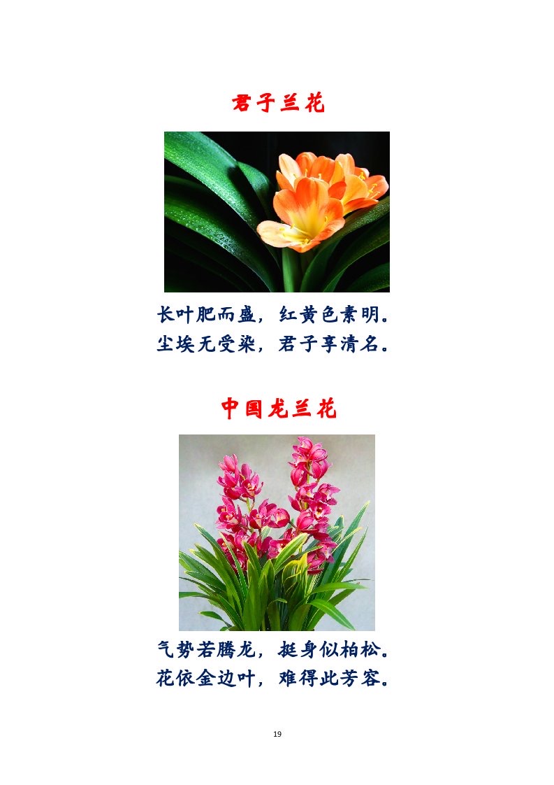 选萃推荐李金坤教授的作品：百花百诗总关情｜海外头条（图20）