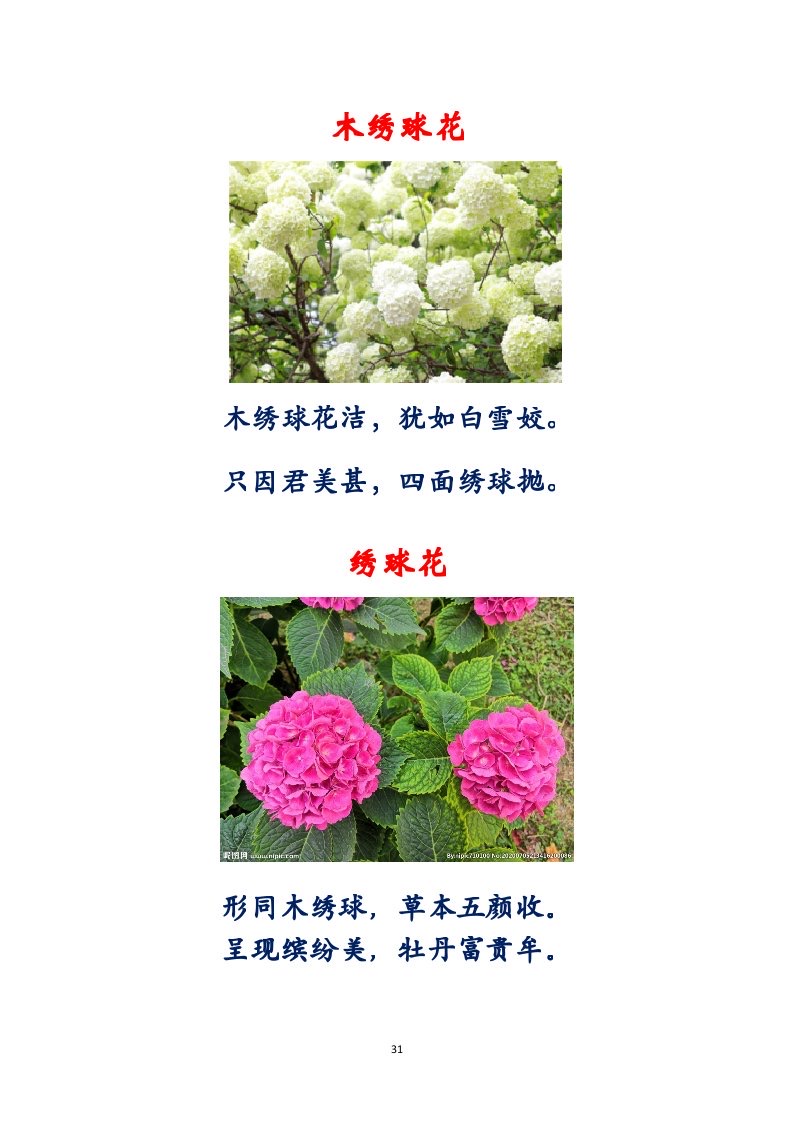 选萃推荐李金坤教授的作品：百花百诗总关情｜海外头条（图32）