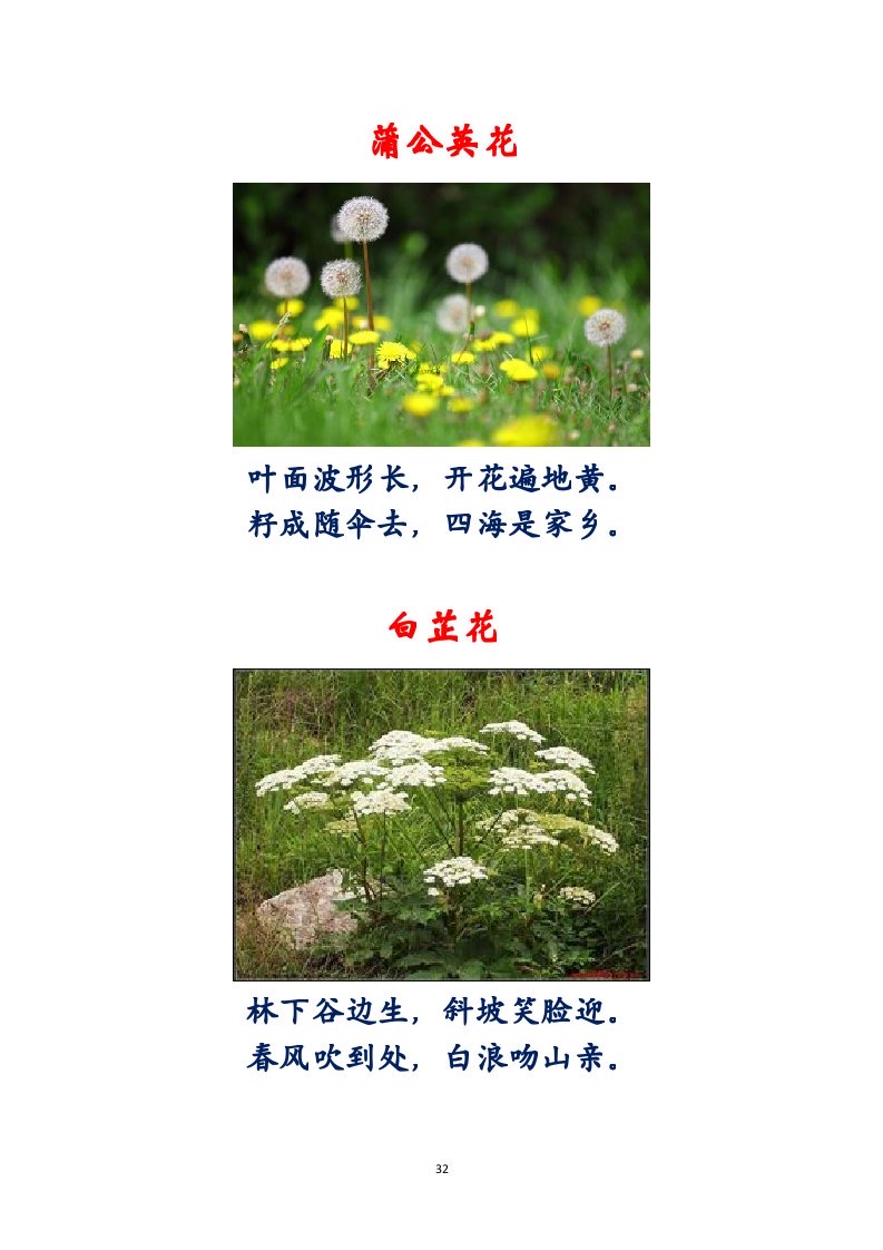 选萃推荐李金坤教授的作品：百花百诗总关情｜海外头条（图33）