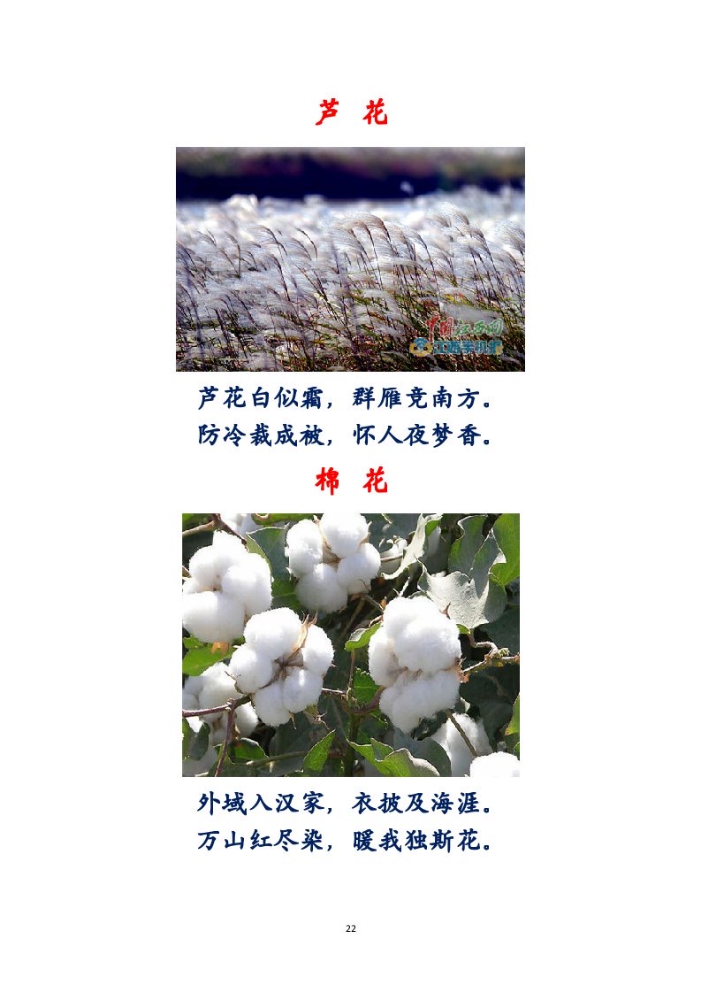 选萃推荐李金坤教授的作品：百花百诗总关情｜海外头条（图23）