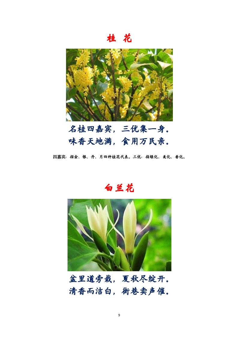 选萃推荐李金坤教授的作品：百花百诗总关情｜海外头条（图10）