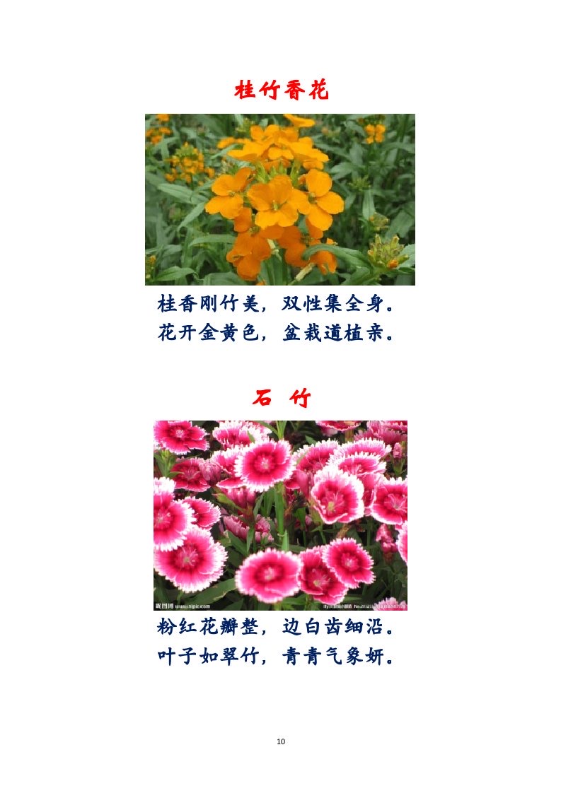 选萃推荐李金坤教授的作品：百花百诗总关情｜海外头条（图11）
