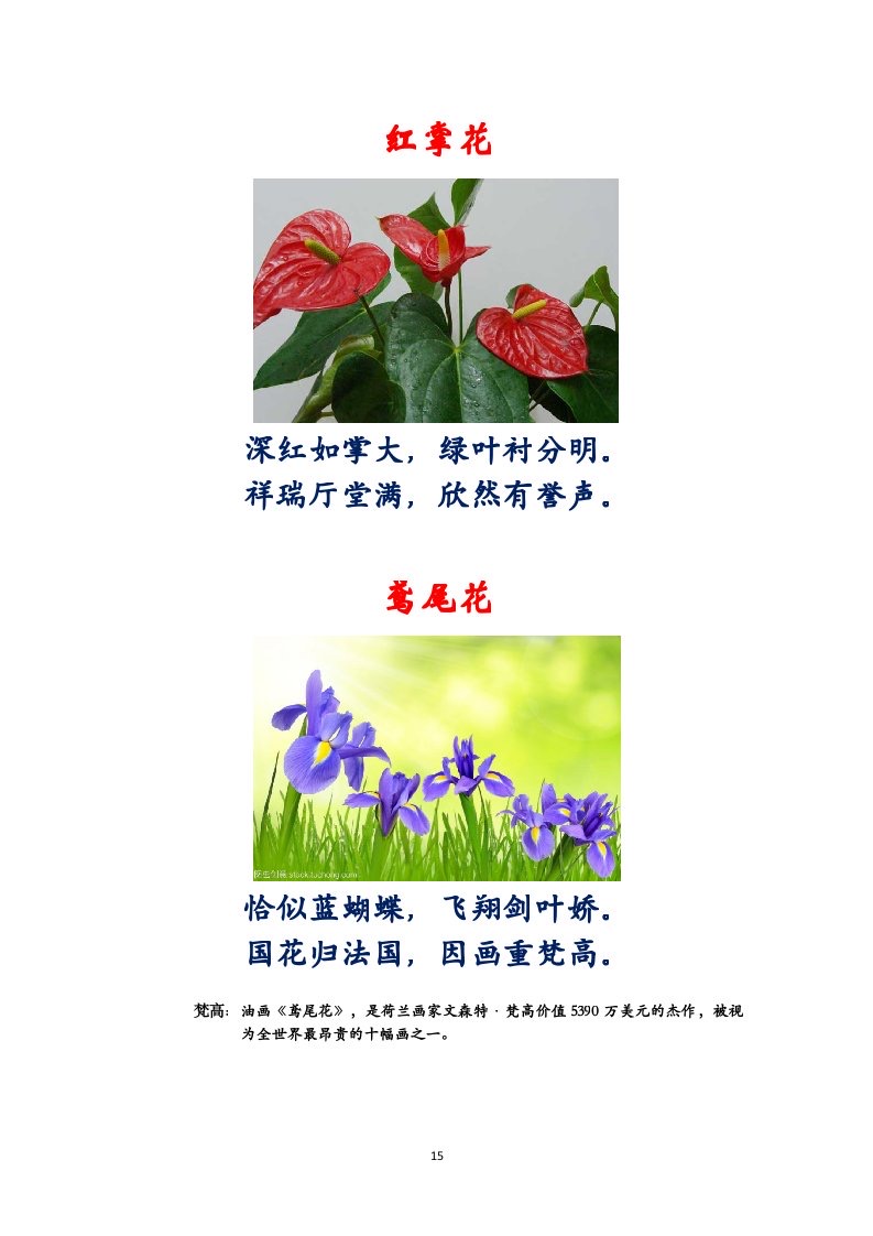 选萃推荐李金坤教授的作品：百花百诗总关情｜海外头条（图16）
