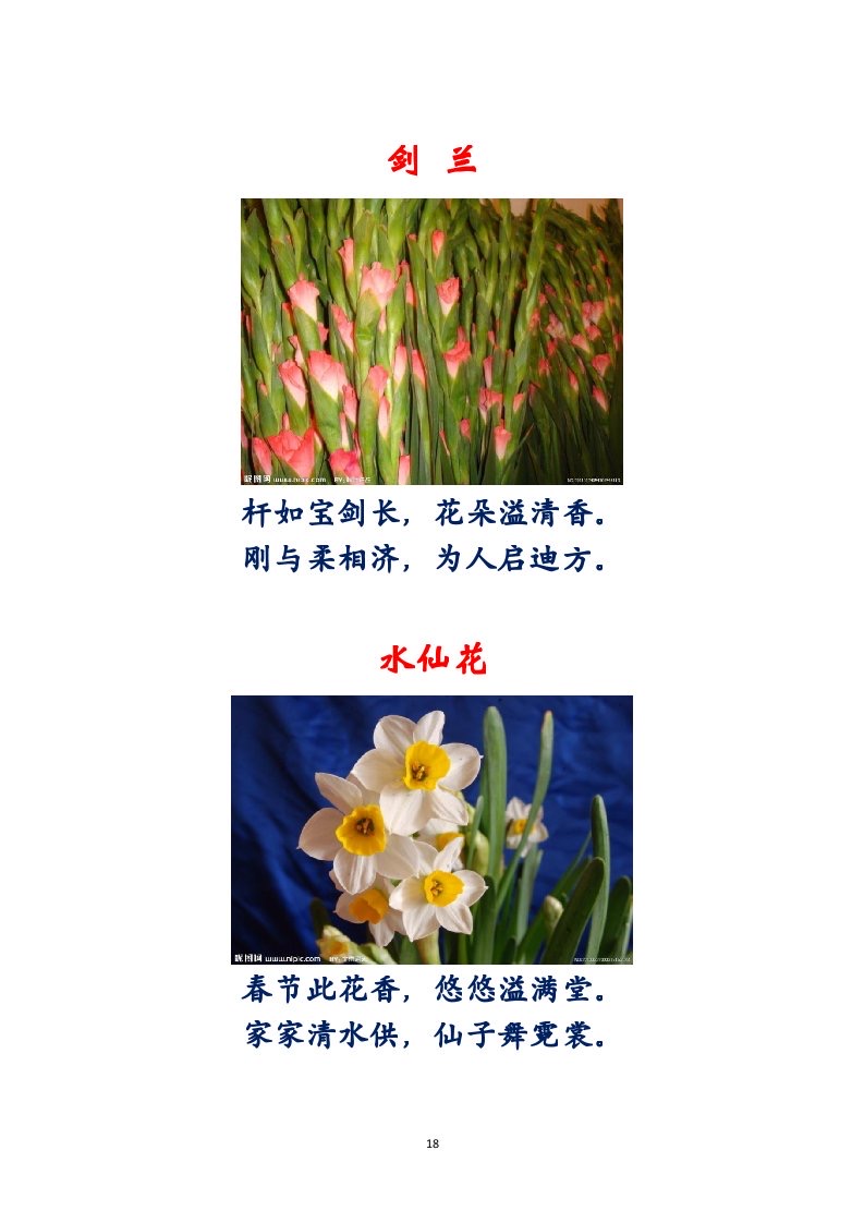 选萃推荐李金坤教授的作品：百花百诗总关情｜海外头条（图19）