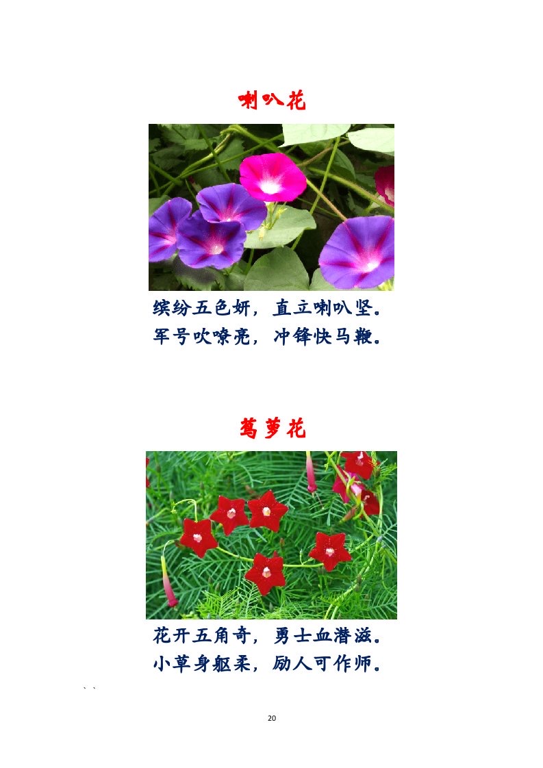 选萃推荐李金坤教授的作品：百花百诗总关情｜海外头条（图21）