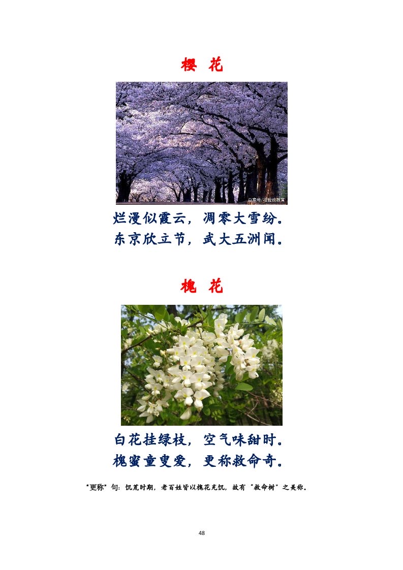 选萃推荐李金坤教授的作品：百花百诗总关情｜海外头条（图49）
