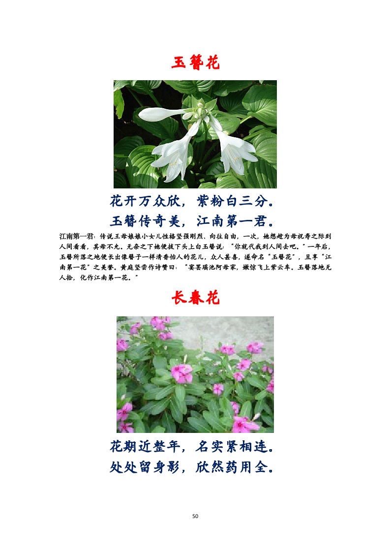 选萃推荐李金坤教授的作品：百花百诗总关情｜海外头条（图51）