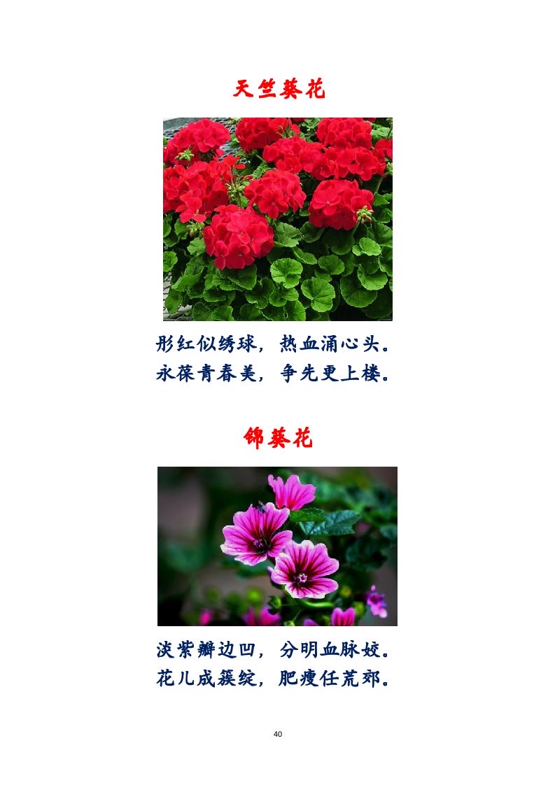 选萃推荐李金坤教授的作品：百花百诗总关情｜海外头条（图41）