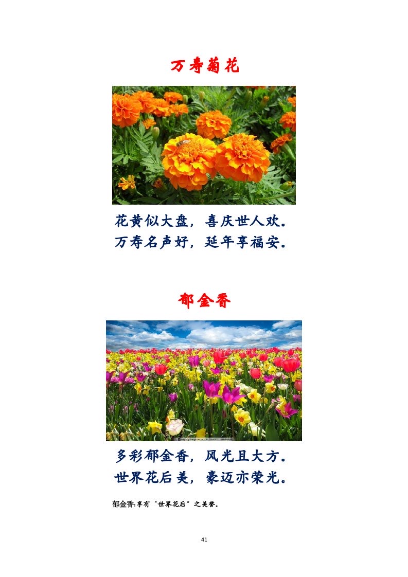 选萃推荐李金坤教授的作品：百花百诗总关情｜海外头条（图42）