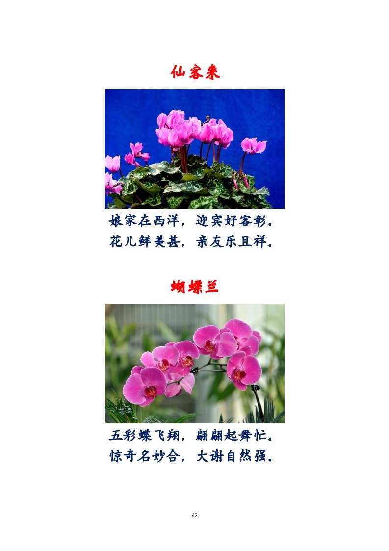 选萃推荐李金坤教授的作品：百花百诗总关情｜海外头条（图43）