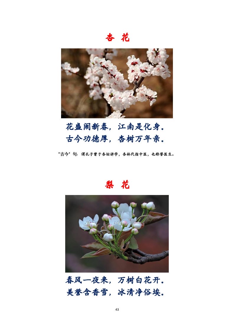 选萃推荐李金坤教授的作品：百花百诗总关情｜海外头条（图44）