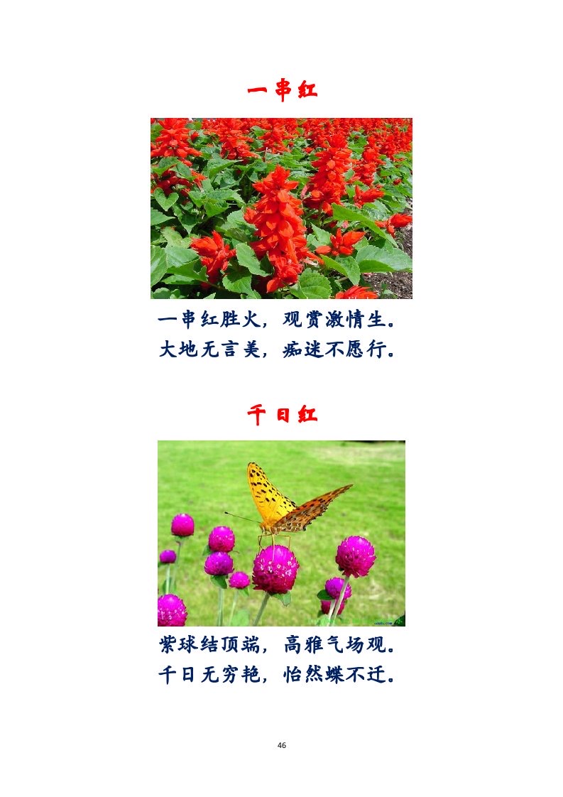 选萃推荐李金坤教授的作品：百花百诗总关情｜海外头条（图47）