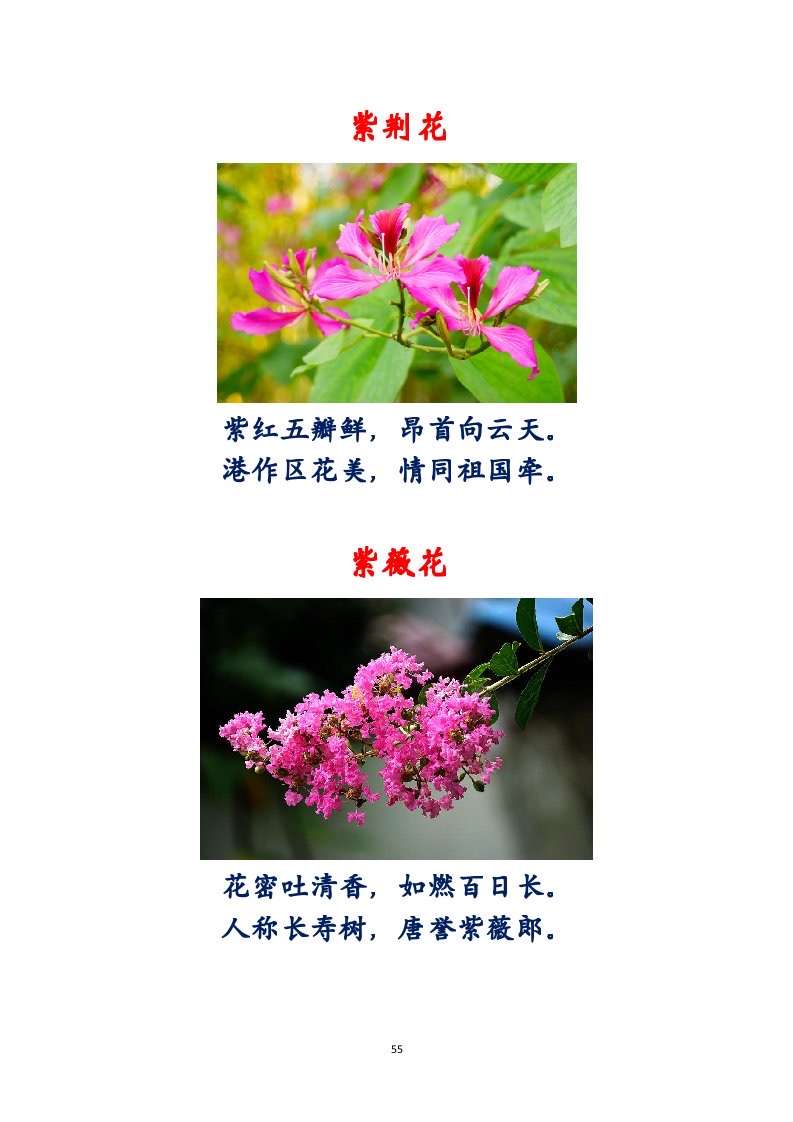 选萃推荐李金坤教授的作品：百花百诗总关情｜海外头条（图56）