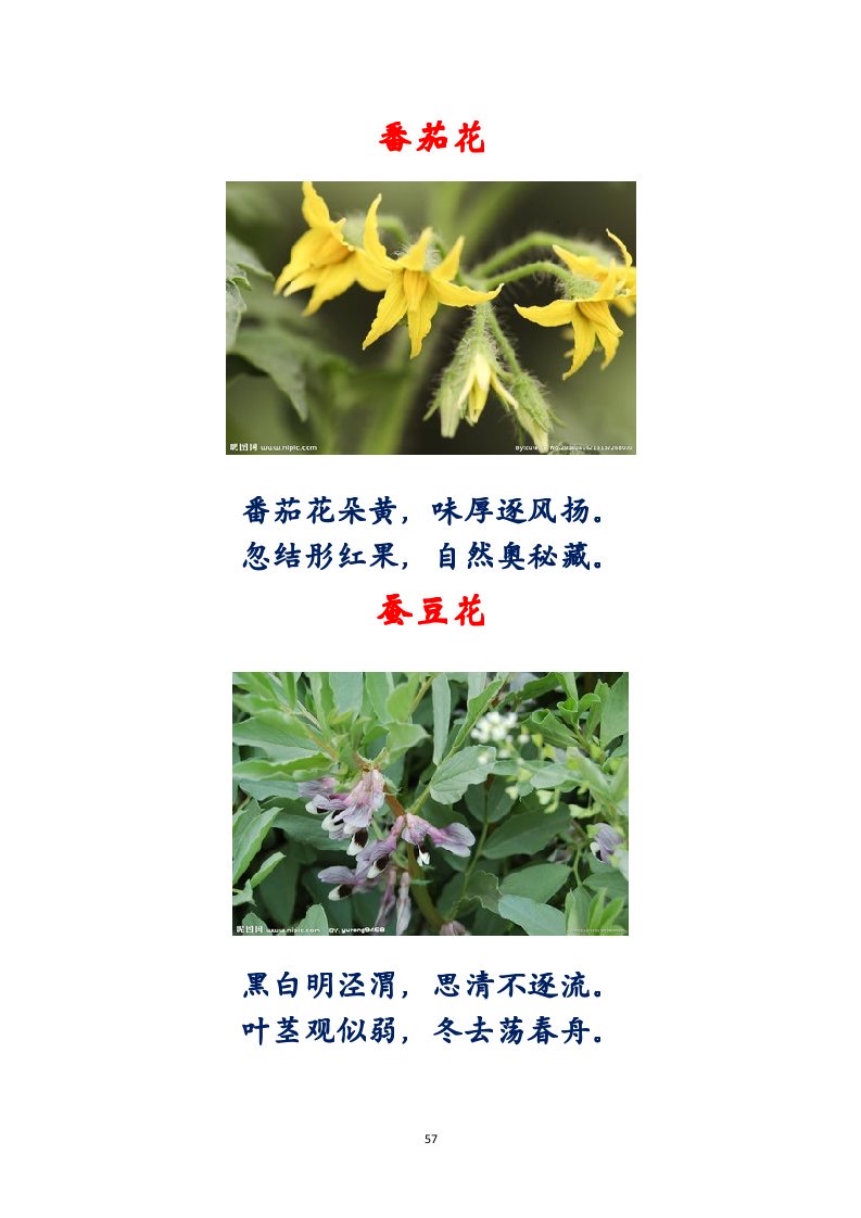 选萃推荐李金坤教授的作品：百花百诗总关情｜海外头条（图58）