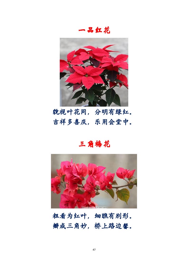 选萃推荐李金坤教授的作品：百花百诗总关情｜海外头条（图48）