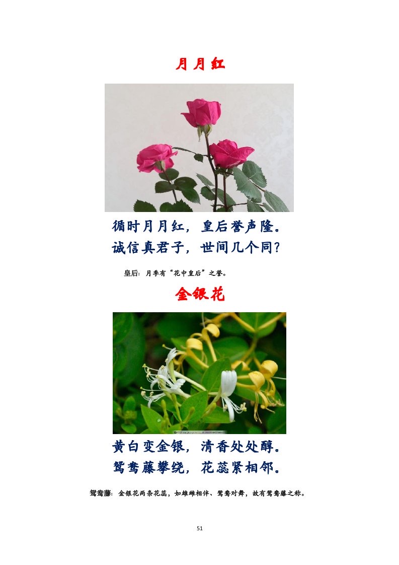 选萃推荐李金坤教授的作品：百花百诗总关情｜海外头条（图52）