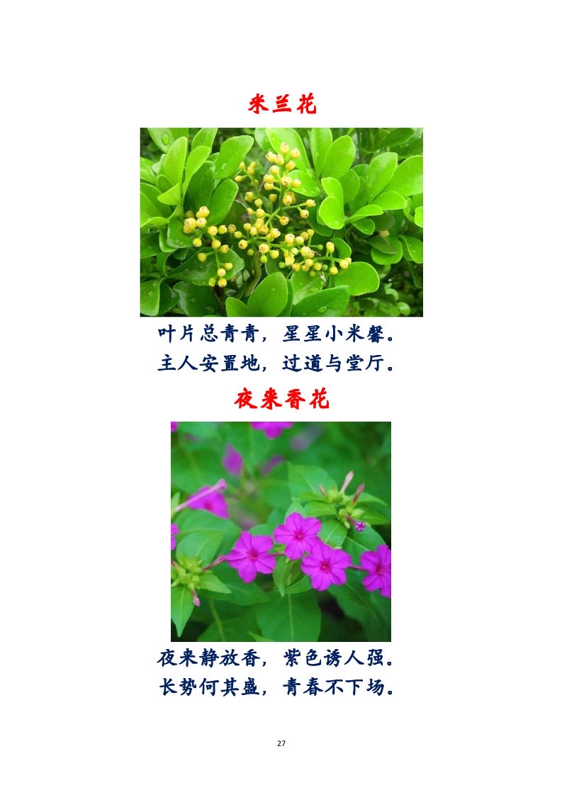 选萃推荐李金坤教授的作品：百花百诗总关情｜海外头条（图28）