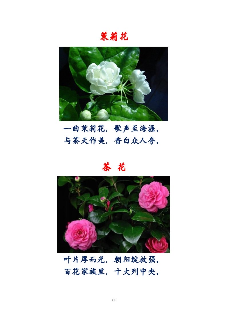选萃推荐李金坤教授的作品：百花百诗总关情｜海外头条（图29）