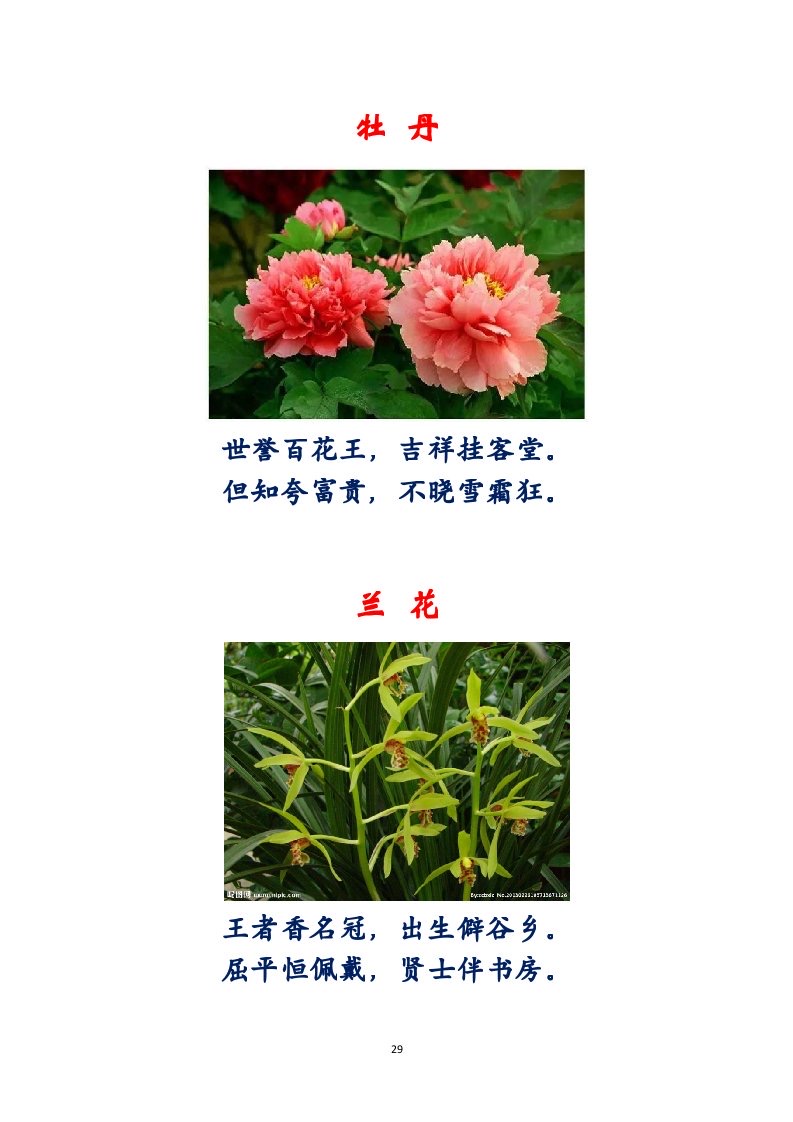 选萃推荐李金坤教授的作品：百花百诗总关情｜海外头条（图30）