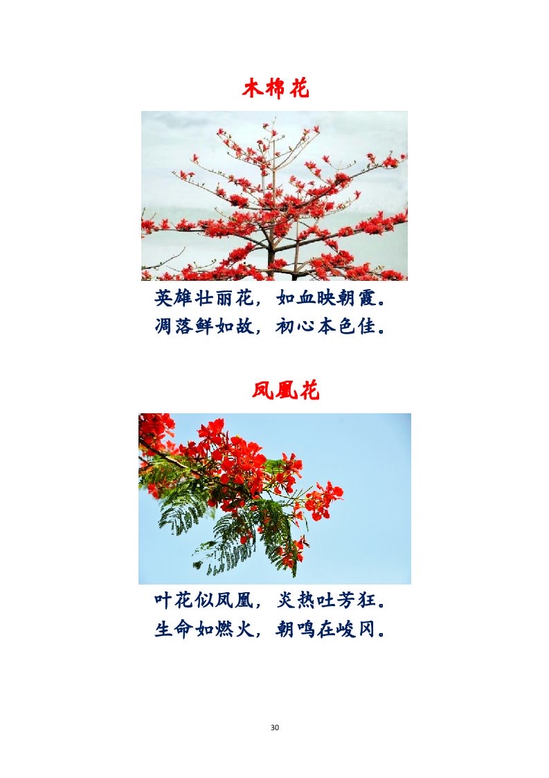 选萃推荐李金坤教授的作品：百花百诗总关情｜海外头条（图31）