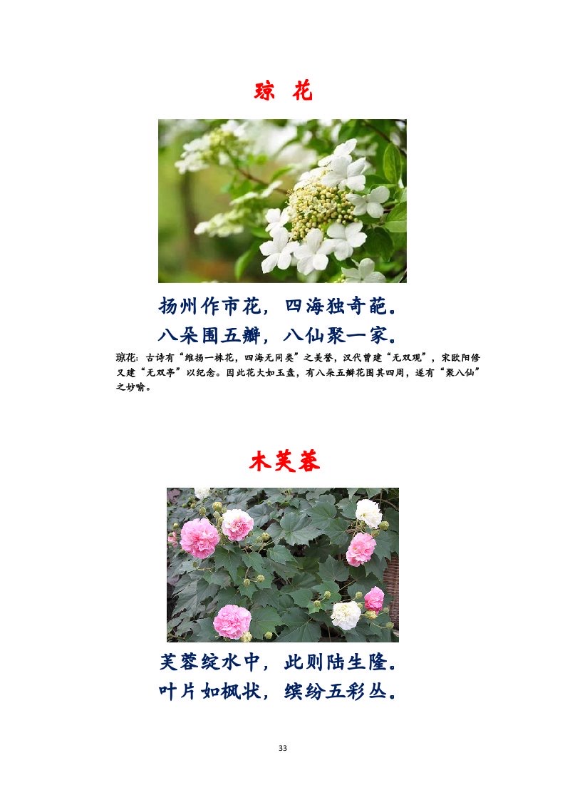 选萃推荐李金坤教授的作品：百花百诗总关情｜海外头条（图34）