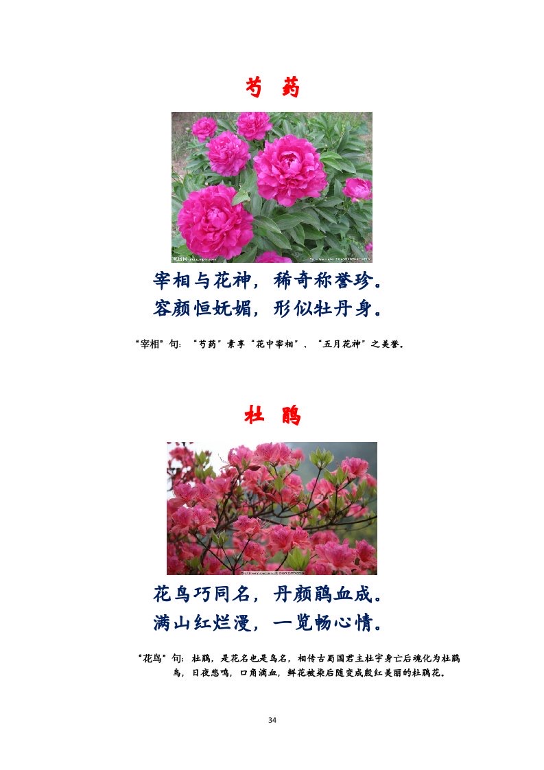 选萃推荐李金坤教授的作品：百花百诗总关情｜海外头条（图35）