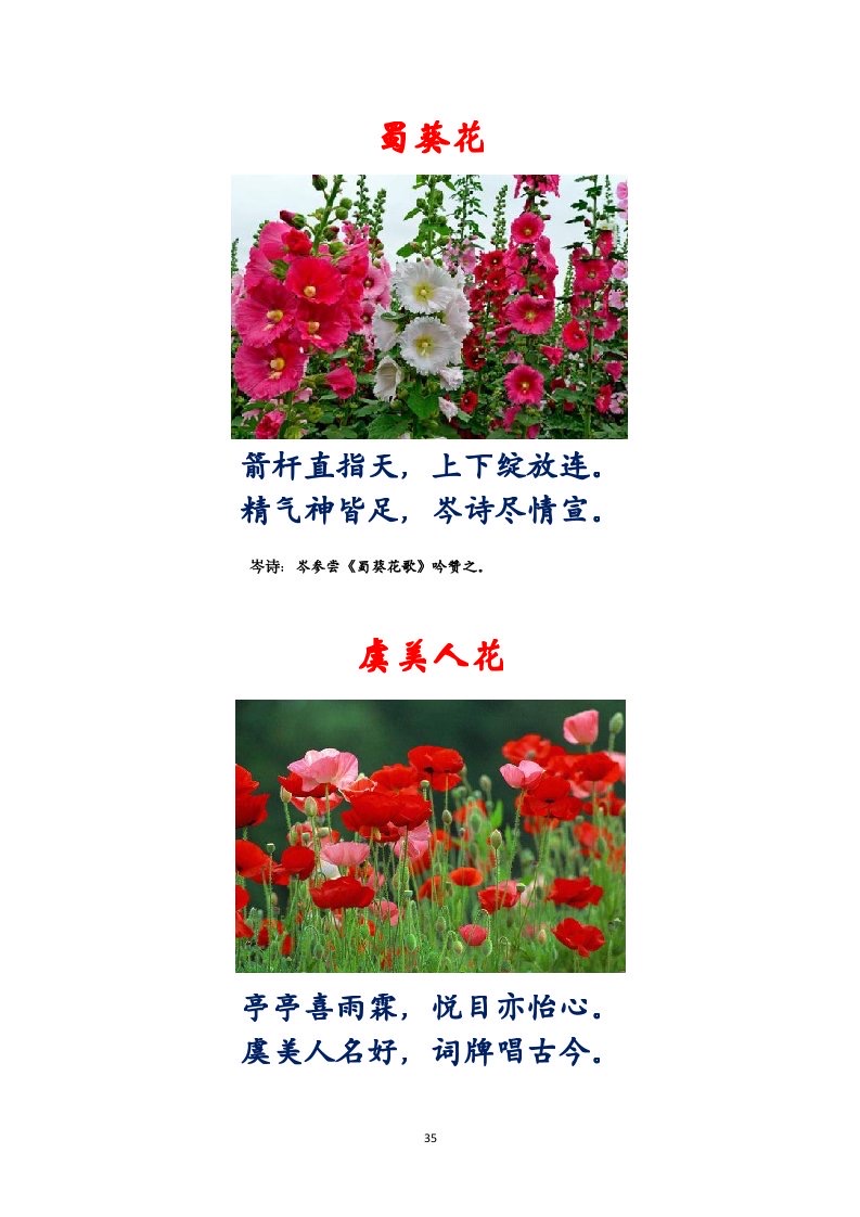 选萃推荐李金坤教授的作品：百花百诗总关情｜海外头条（图36）