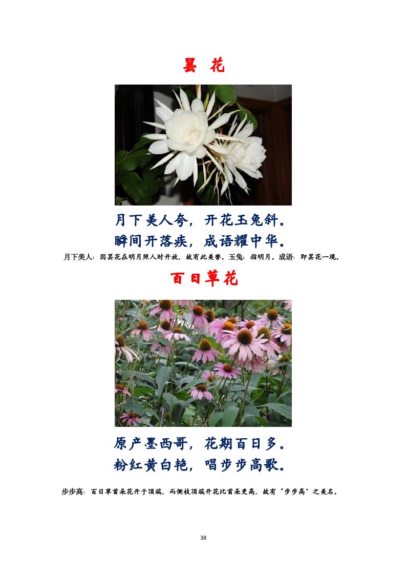 选萃推荐李金坤教授的作品：百花百诗总关情｜海外头条（图39）