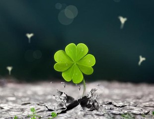 是我耽误了草木的生长 铁裕〔云南〕【冰心文化传媒】(图4)