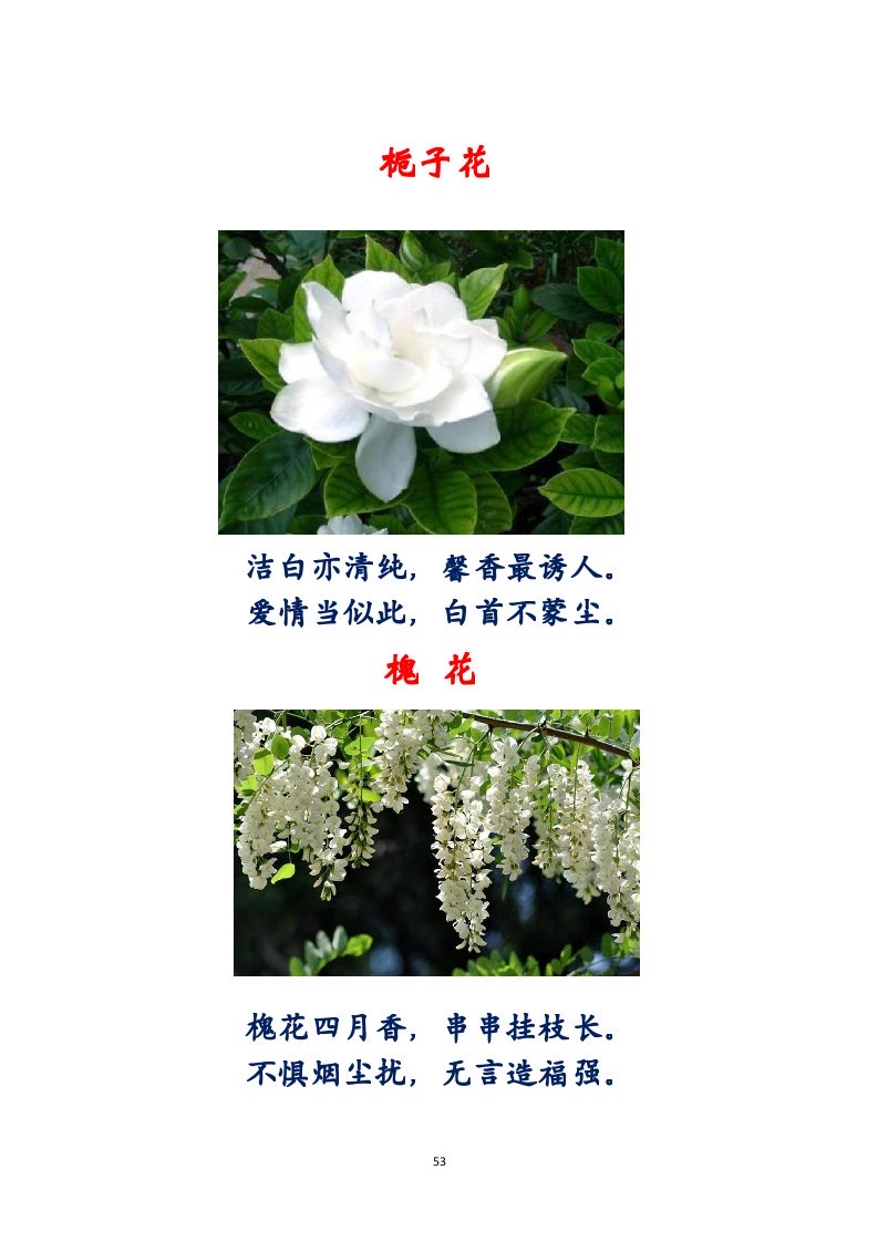 选萃推荐李金坤教授的作品：百花百诗总关情｜海外头条（图54）